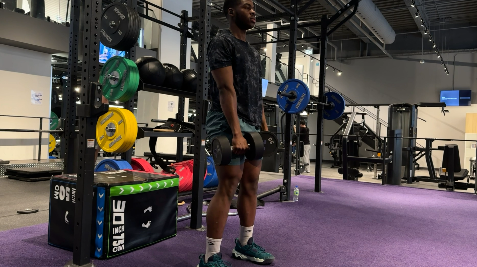 Trx Rdl GT Fitness